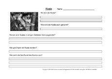 Koala-Fragen-1.pdf